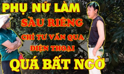 Thật bất ngờ 3 vườn sầu riêng của 3 chị làm chỉ qua tư vấn bằng điện thoại